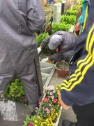 【九游会俱乐部人别样清明】2018年清明落葬工作圆满完成