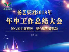 九游会俱乐部集团2018年中总结报告（摘要）