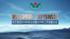 九游会俱乐部集团2018年总结暨2019年工作部署会议召开