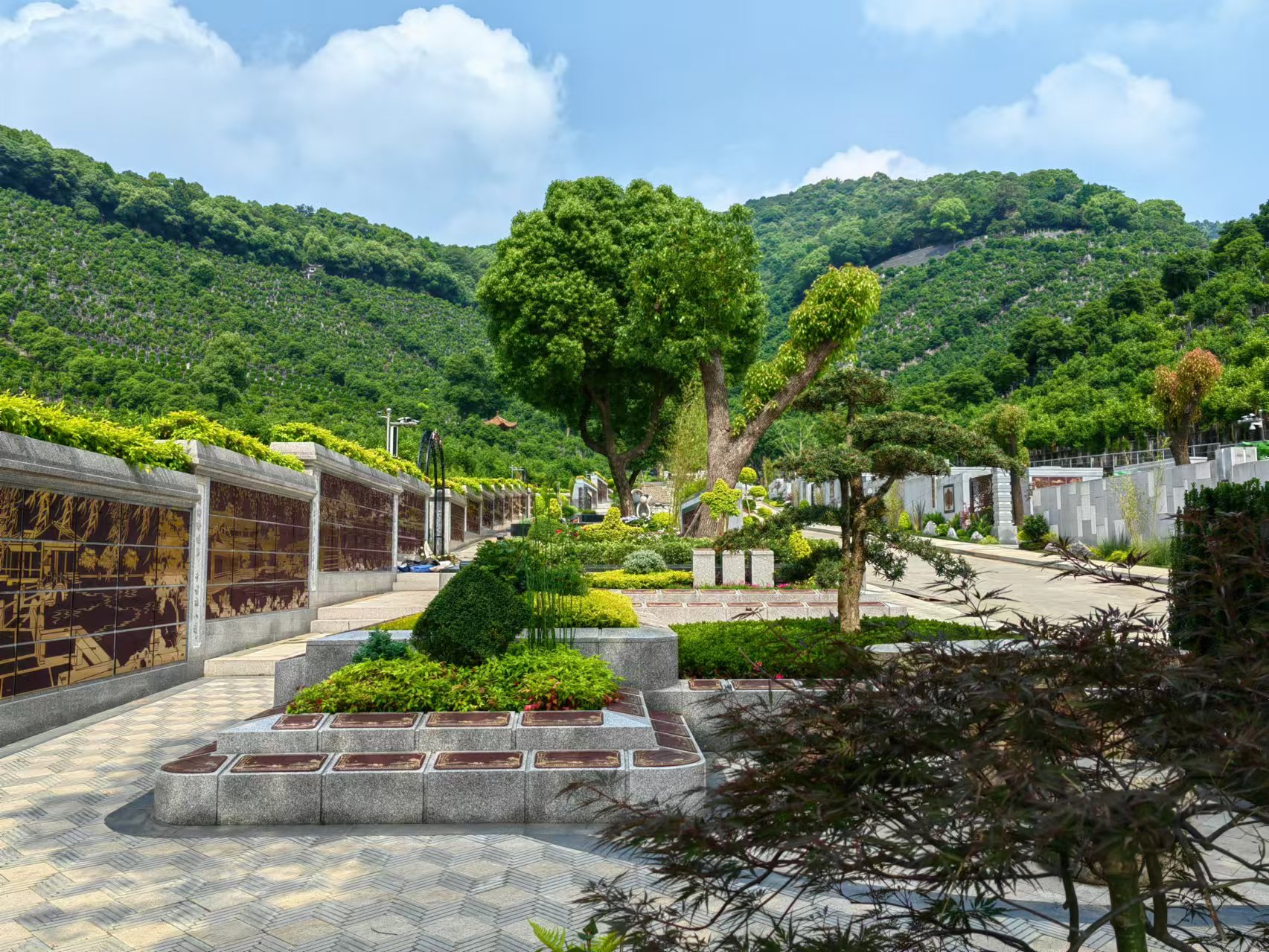 引领绿色生态新风尚，共筑生命和谐家园