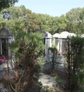 绿色生态葬：文明赓续的绿色选择