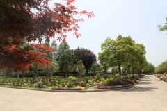 归于林下：一场与自然的温柔重逢