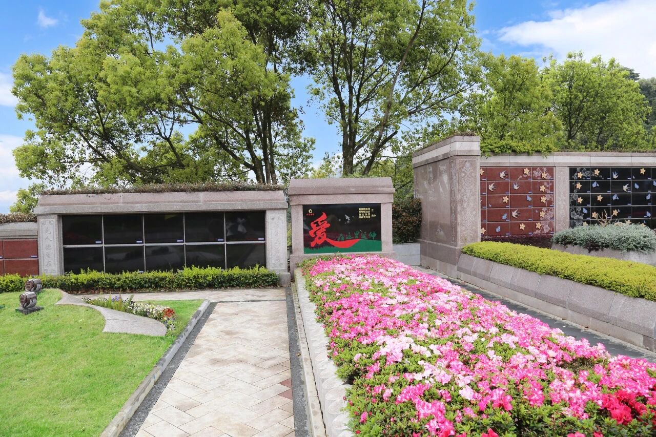 当纪念，开始生长