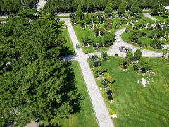 碑雕设计：镌刻历史，传承人文