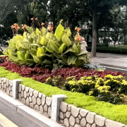 无机仿真石花箱：以永恒之名，塑未来之境