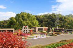 城市角落的星河：当墓园成为生命的另一种花园