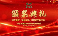 2024年九游会俱乐部集团迎新春年会暨颁奖典礼盛大举行