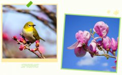 春启九游会俱乐部